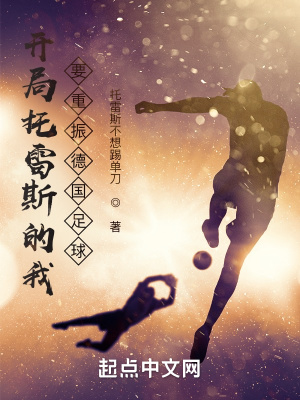 开局托雷斯的我要重振德国足球