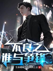 不良之谁与争锋二